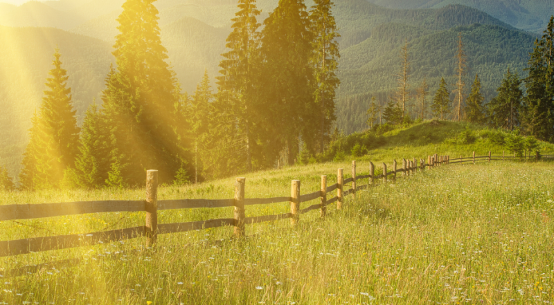 CZTERY PORY ROKU - Lato 2026